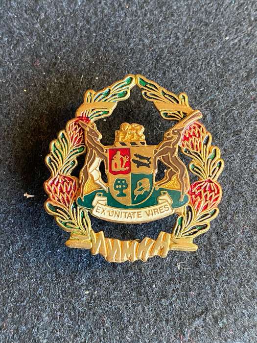 SA PRISON SERVICE W.O. ARM BADGE