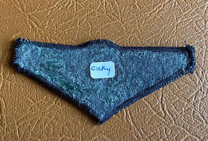 CISKEI PARACHUTE WING,SUBDUED-THIS WAS THE LAST PATTERN