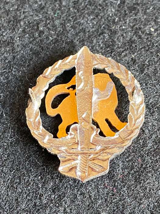 REGT. HILLCREST COLLAR BADGE- 2 PINS