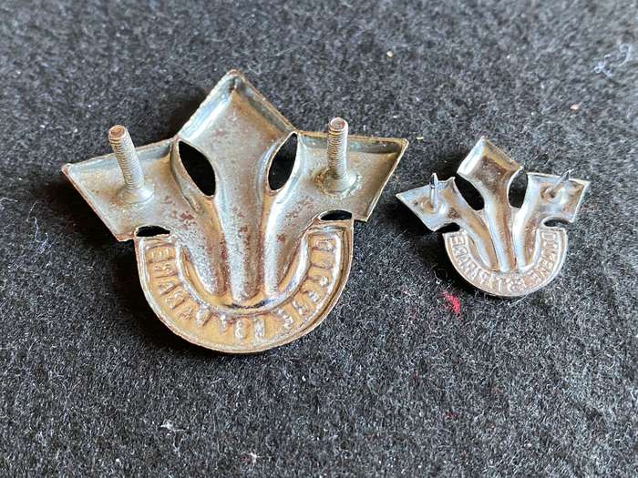 CORPS OF PROFFESIONAL OFFICER CHROME CAP AND ONE COLLAR-LUGS + PINS INTACT