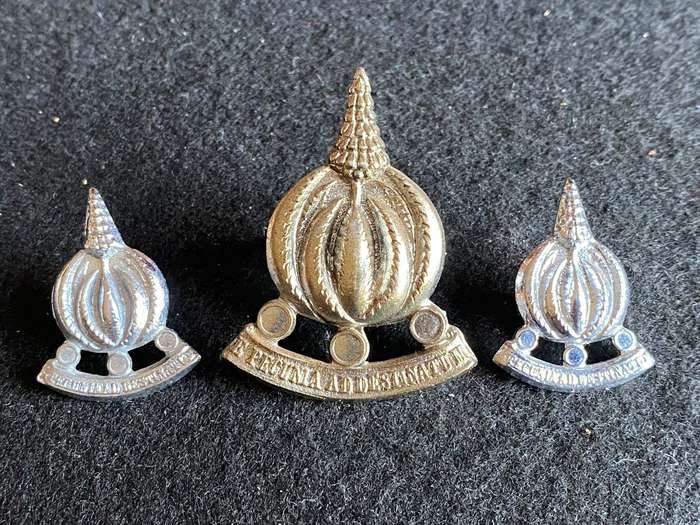 FINANCES SERVICES CORPS CAP AND COLLARS-APPROVED 1973-LUGS + PINS INTACT