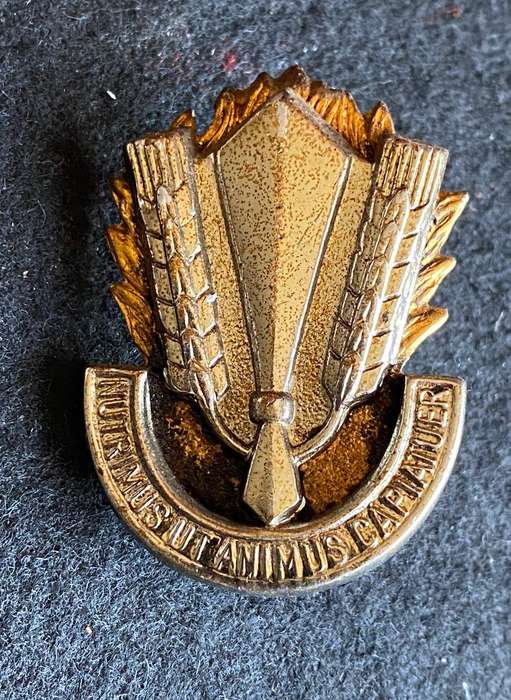 SA CATERING CORPS BI/METAL CAP BADGE-APPROVED 1978-2X SCREW LUGS