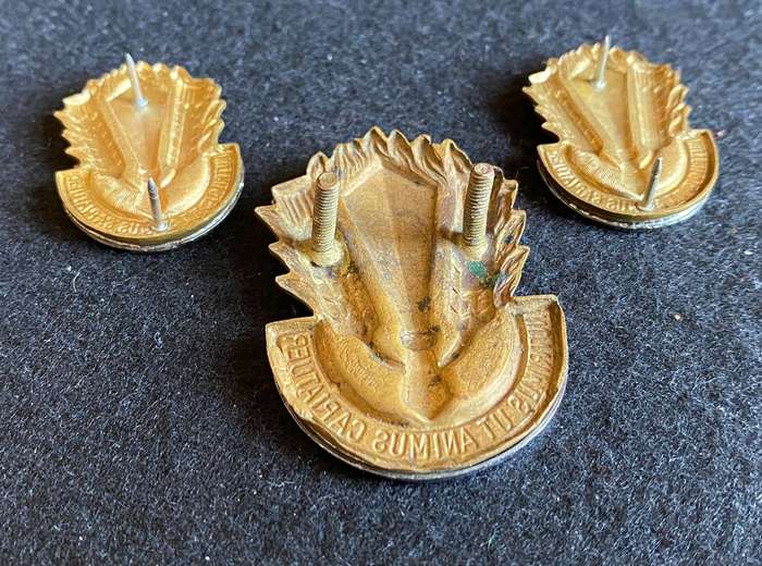 SA Catering Corps Bi/Metal Cap and Collars - Approved 1978 - Lugs + Pins Intact