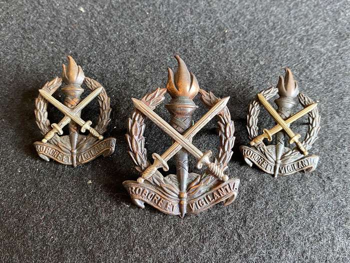 REGT. SCHOONSPRUIT CAP AND COLLARS-WORN FROM 1966-LUGS + PINS INTACT