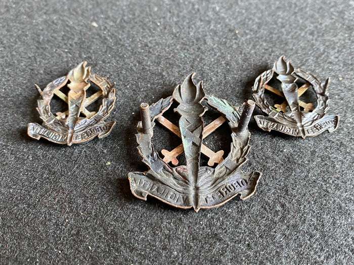 REGT. SCHOONSPRUIT CAP AND COLLARS-WORN FROM 1966-LUGS + PINS INTACT