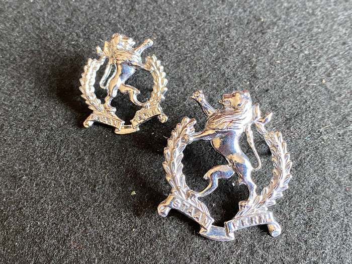 REGT. HIGHVELD CAP AND COLLAR,IN CHROME-WORN FROM 1976-LUGS + PINS COMPLETE