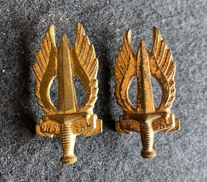 REGT. NORTHERN TRANSVAAL GILT COLLAR BADGE PAIR-APPROVED 1966-PINS COMPLETE