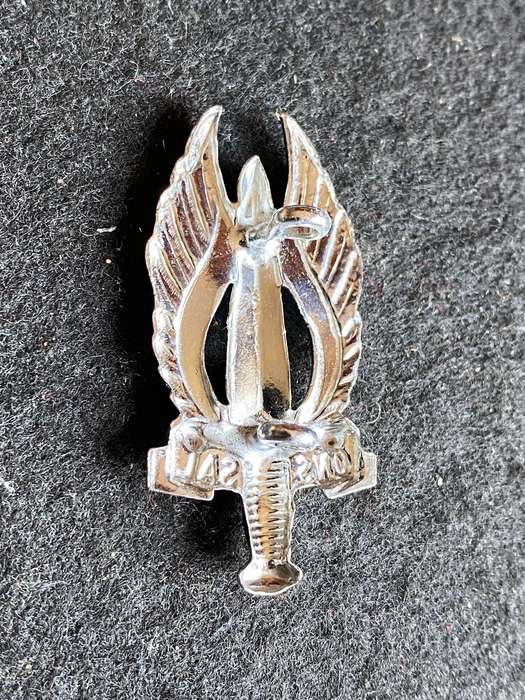 REGT NORTHERN TRANSVAAL CHROME CAP BADGE-WORN POST 1976-LUGS COMPLETE