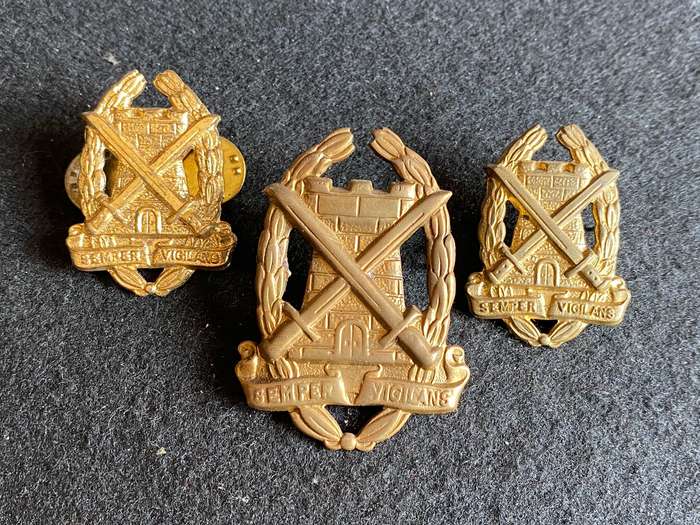 Special Services Corps Gilt Cap and Collars - Worn from 1965 - Lugs + Pins Complete