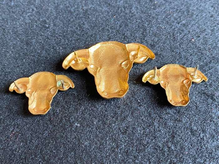 TRANSKEI DFENCE FORCE- GILDING METAL OFFICERS CAP AND COLLARS-PINS COMPLETE