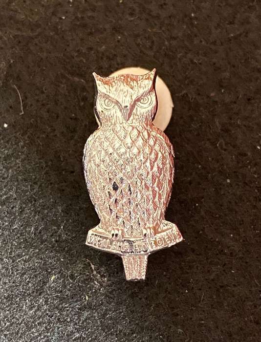 MILITARY INTELLIGENCE,MESS DRESS COLLAR BADGE- 2 PINS-CHROME-POST 1971