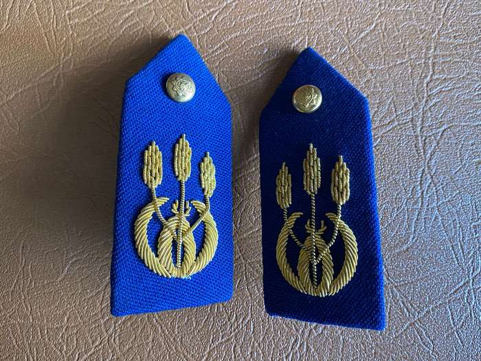POLICE GENERAL OFFICERS GORGET PAIR