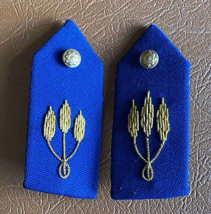 POLICE MAJOR TO COLONEL GORGET PATCH PAIR
