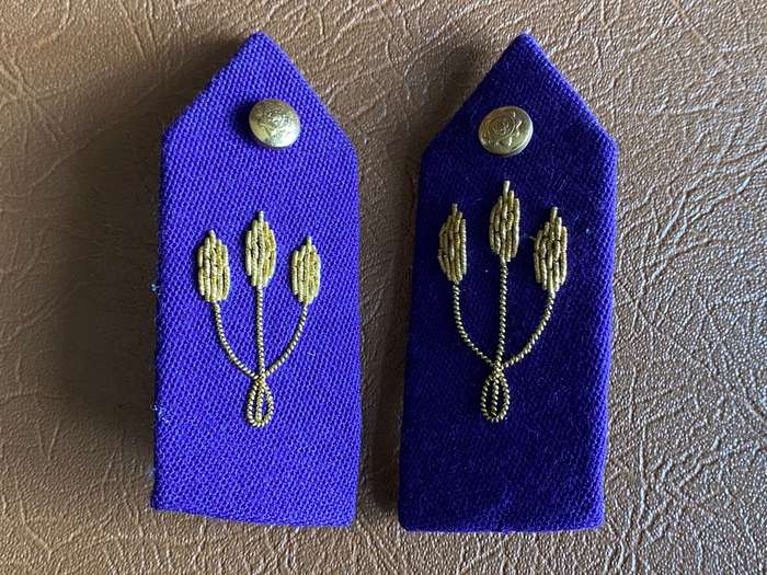 POLICE CHAPLAINS GORGET PATCH PAIR - MAJOR TO COLONEL