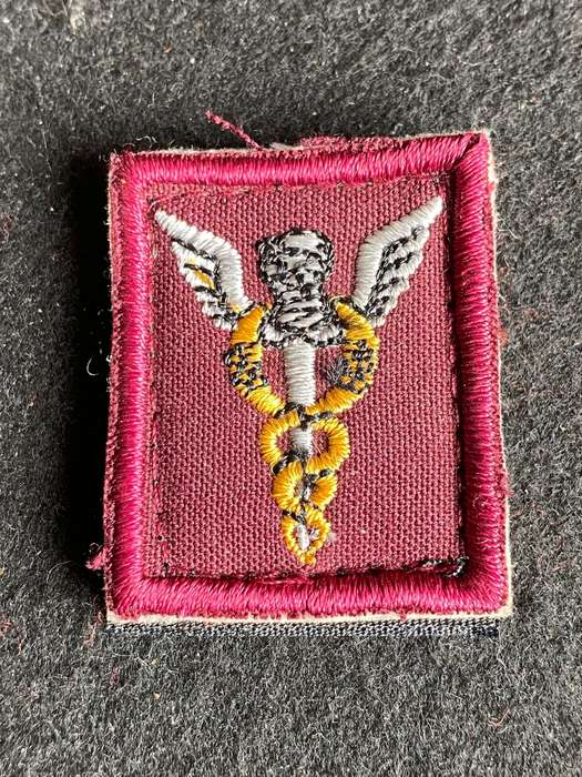 SAMS-HEALTH OFFICERS,CLOTH BREAST BADGE