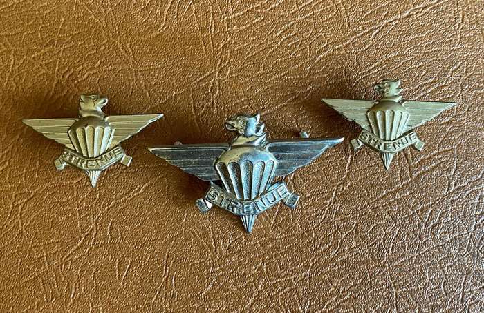 SADF 3 PARACHUTE BATTALION BERET AND COLLARS BADGES-PINS + LUGS COMPLETE
