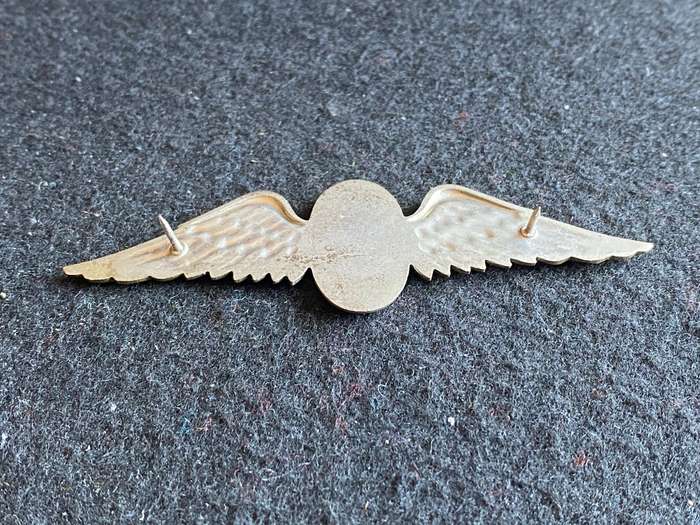 SADF SIZE PARATROOPER INSTRUCTOR WING- 2 PINS