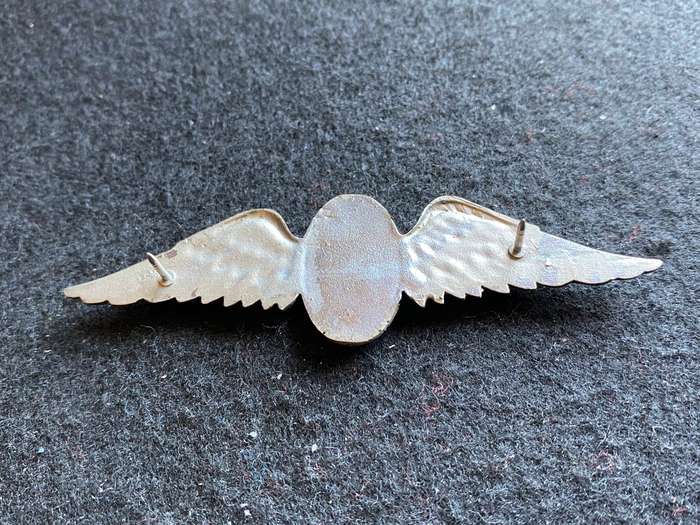 SADF FULL SIZE PARATROOPER INSTRUCTOR WING-( COLOUR VARIATION) 2 PINS
