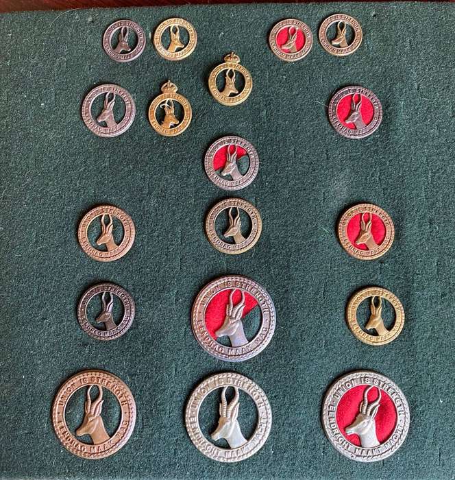 SELECTION OF 18 SA CAP AND COLLAR BADGES- WORN FROM WW1-UNION PERIOD