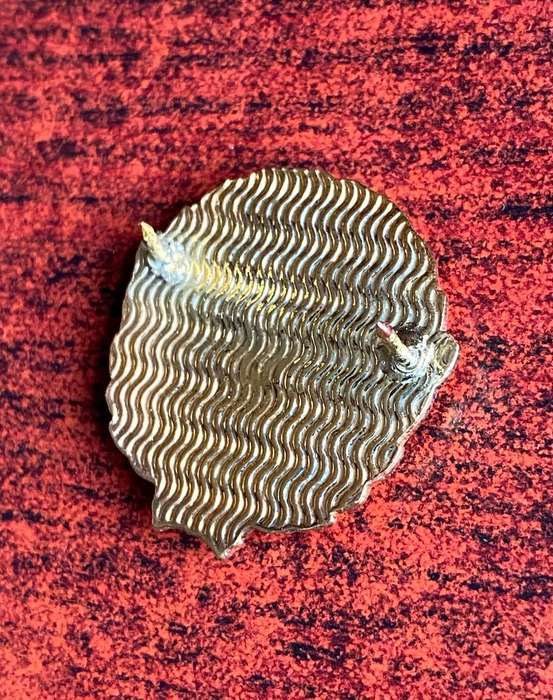 SANDF COLLAR BADGE- 2 PINS