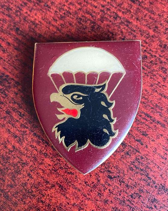 44 PARA BRIGADE HQ FLASH- 3 PINS