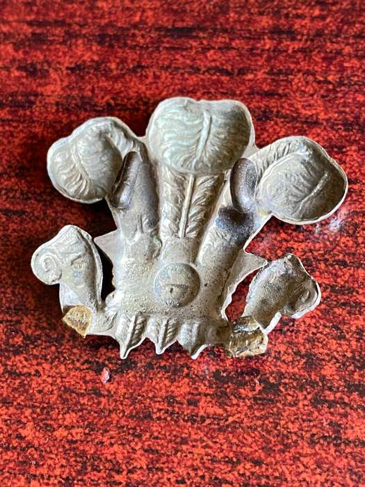WILTSHIRE YEOMARY COLLAR BADGE-WORN 1900'S- 2 LUGS