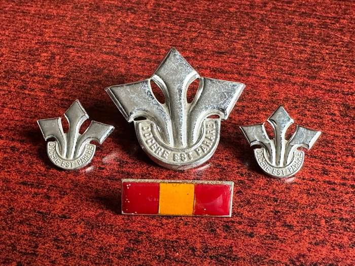 CORPS OF PROFESSIONAL OFFICERS CHROMED CAP,COLLARS AND BERET BAR-APPROVED 1978-LUGS + PINS INTACT