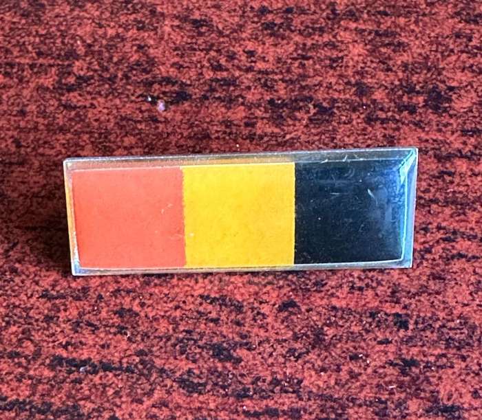 REGT. PRESIDENT STEYN BERET BAR- 2 PINS