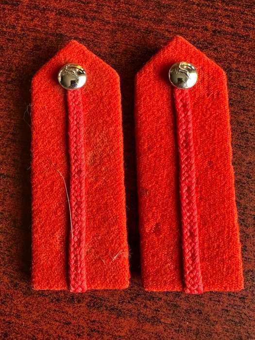 ARMY SENIOR OFFICERS NO STAFF QUALIFIED GORGET PATCH PAIR-APPROVED 1978