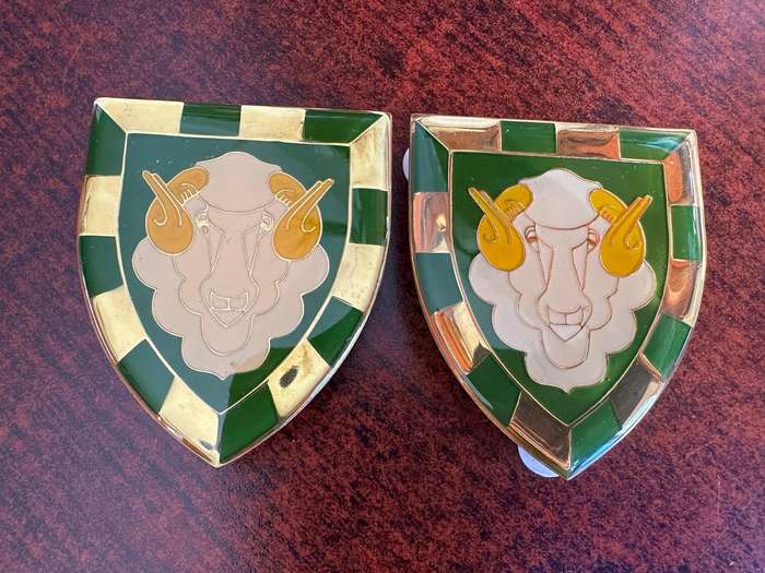 REGIMENT GROOT KAROO FLASH PAIR-ORIGINAL-PINS INTACT