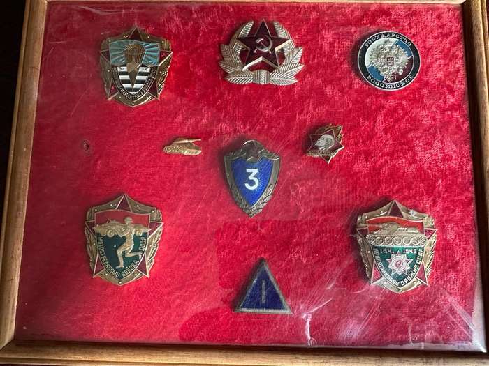 SOVIET UNION PERIOD BADGES- FRAMED
