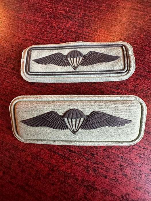 SANDF BASIC PARA WINGS