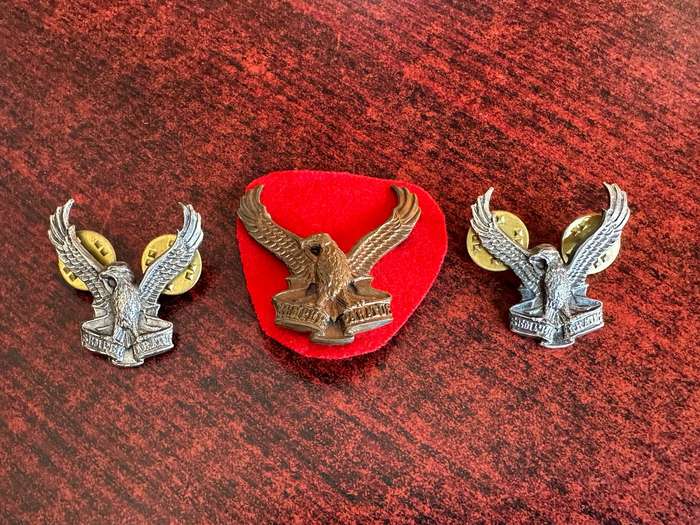 SWA AIR FORCE CAP AND COLLARS-PINS COMPETE-ONE LUG ON CAP MISSING