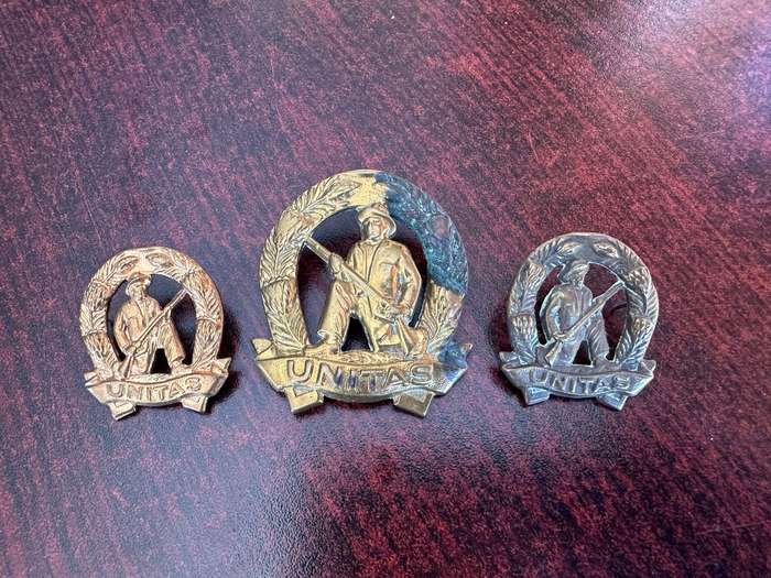 COMMANDOS BRASS CAP AND COLLARS-WORN 1963-1970'S-LUGS + PINS COMPLETE