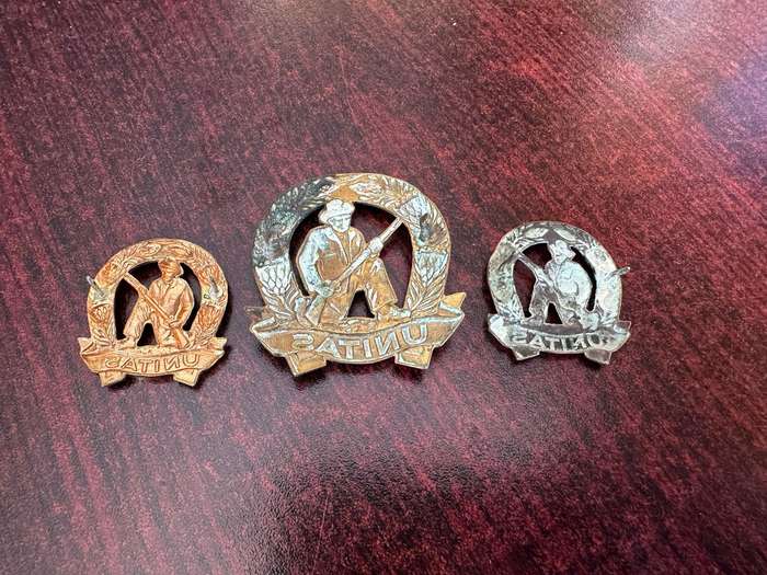 COMMANDOS BRASS CAP AND COLLARS-WORN 1963-1970'S-LUGS + PINS COMPLETE