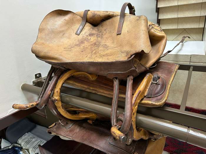 Camel saddle used by the SAP