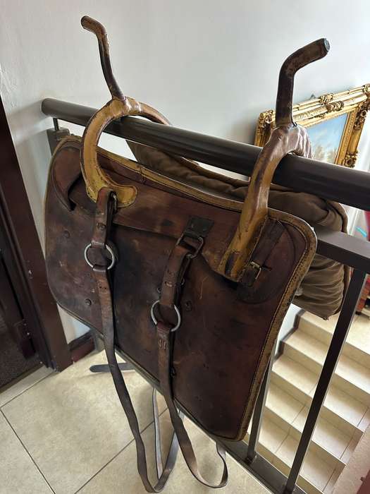 Camel saddle used by the SAP