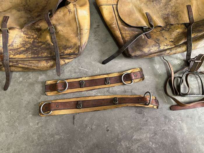 Camel saddle used by the SAP