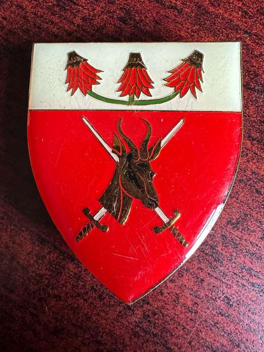 FAR NORTH COMMAND FLASH- 3 PINS