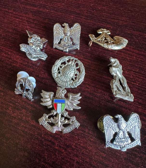 SELECTION OF CHROME COLLAR BADGES- 8 IN TOTAL-SOLD TOGETHER-PINS COMPLETE