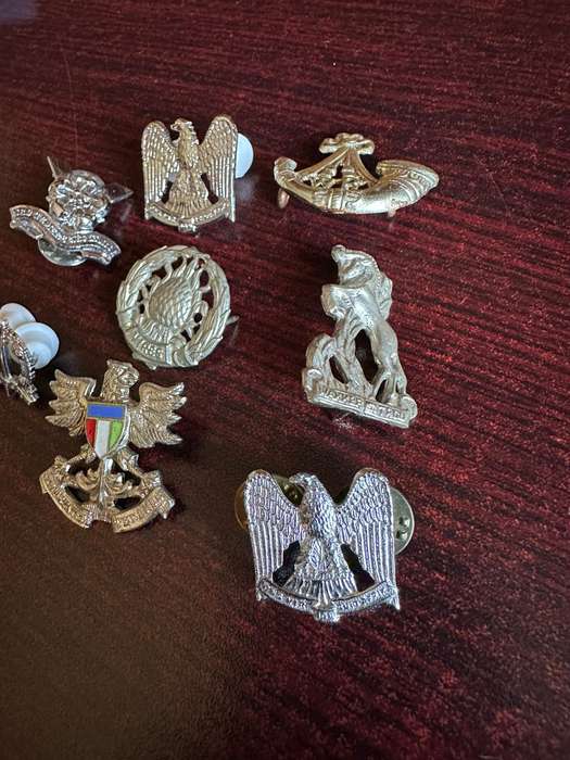 SELECTION OF CHROME COLLAR BADGES- 8 IN TOTAL-SOLD TOGETHER-PINS COMPLETE