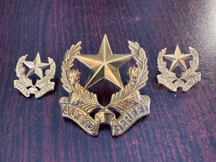 Regiment Botha cap and collars (Brass) worn 1962-1970's. Lugs + pins intact.