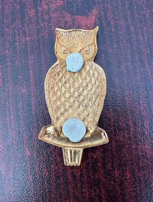 Military intelligence cap badge,gild. Unidentified. No lugs