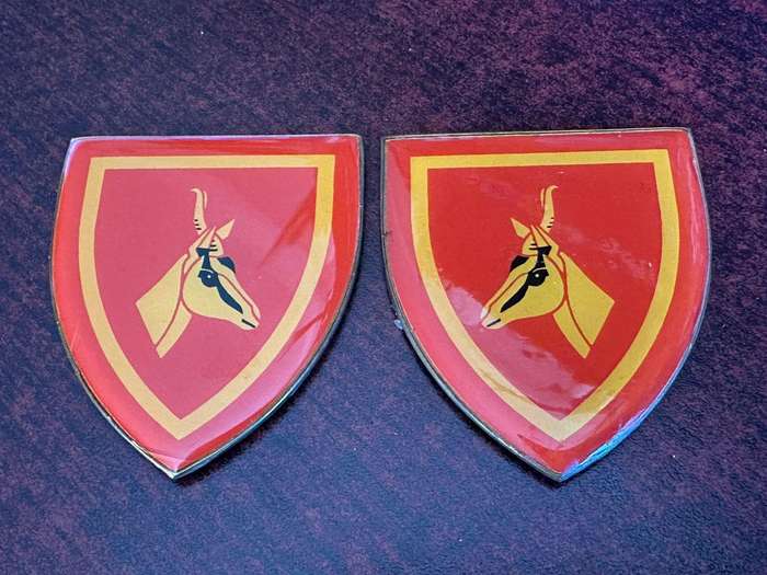 SA army HQ, flash pair. Old. 1st issue. No pins. Silicone can be removed.