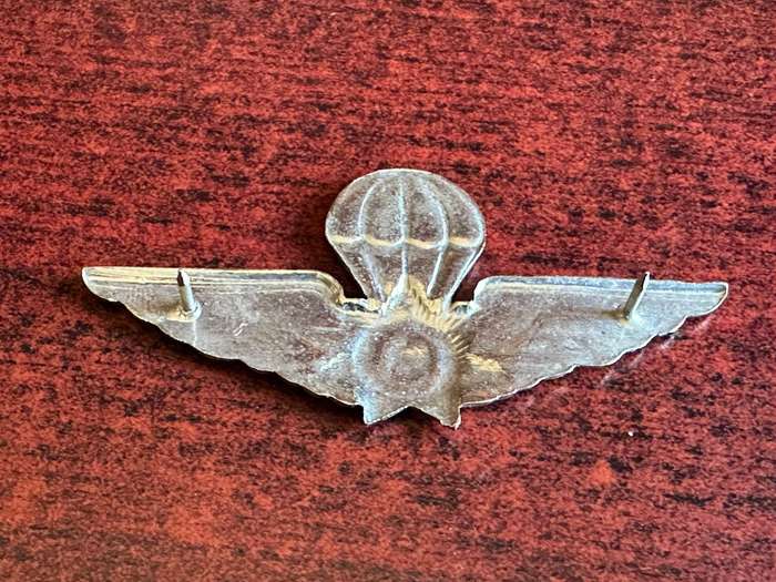 Ciskei police,chromed and enamel, parachute wing. 2 Pins.