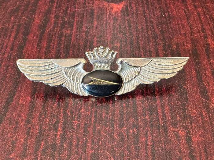Airlines pilot wing. 2 Pins.