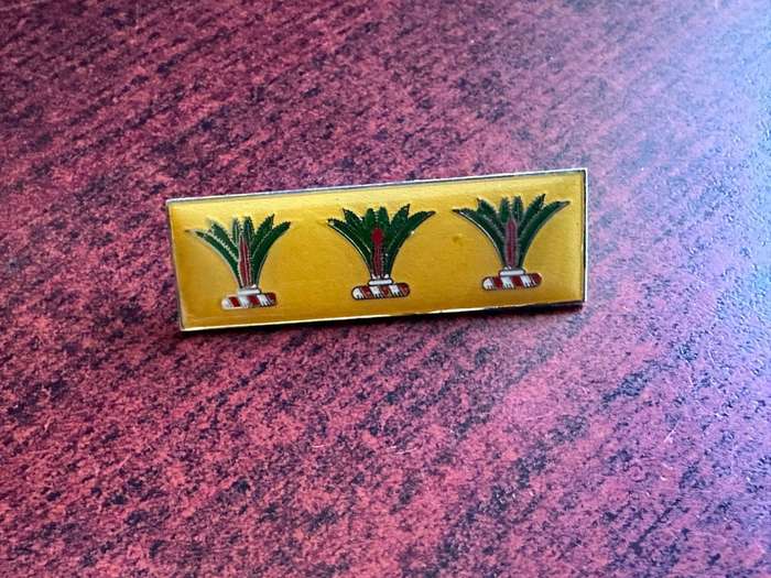 SWA Sector 10 command bar. 2 Pins.