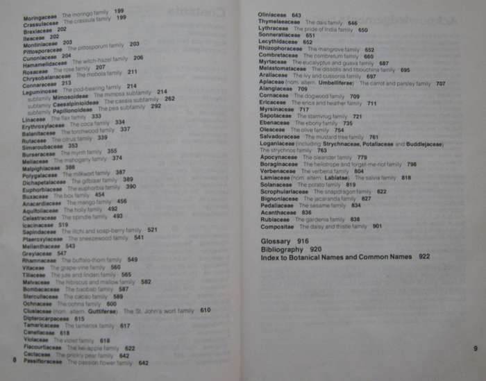 Trees of Southern Africa Keith Coates Palgrave | R B Drummond