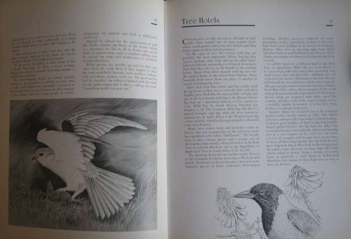Jeff Huntlys African Wildlife Sketches Jeff Huntly