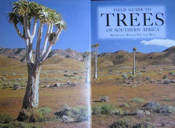 Field Guide to Trees of Southern Africa Braam Van Wyk & Piet Van Wyk